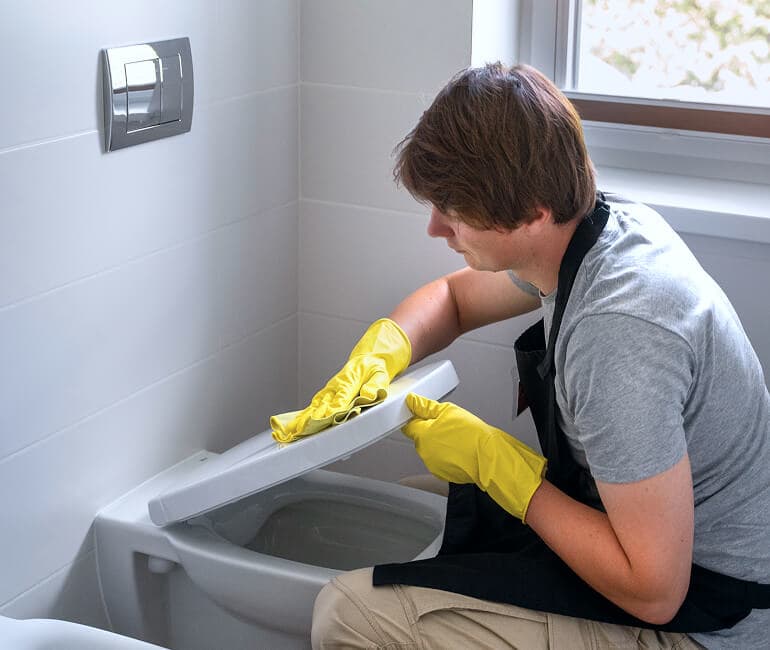 Toilet Sanitization